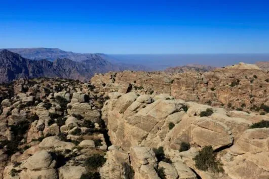 Au travers des réserves naturelles